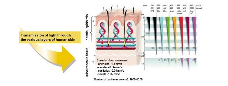 BIOPTRON Light has biostimulative effects: when applied to the skin it stimulates light-sensitive intracellular structures and molecules